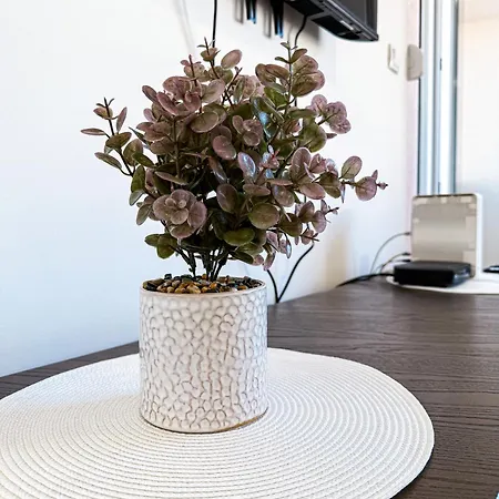 Limpio Белград